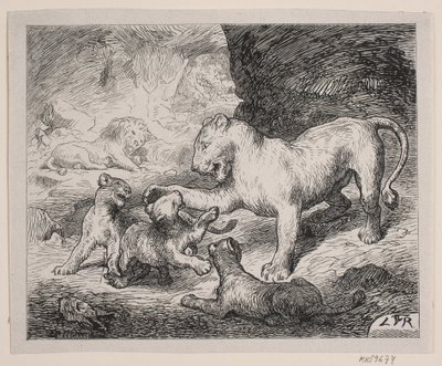 Lionceaux. Illustration pour Chr. Winthers "Livre d