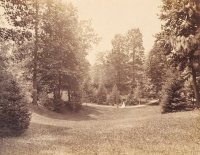 Domaine de Clarence Howard Clark, extrait du portfolio "Views at Chestnutwold" (Vues de Chestnutwold) - Robert Newell