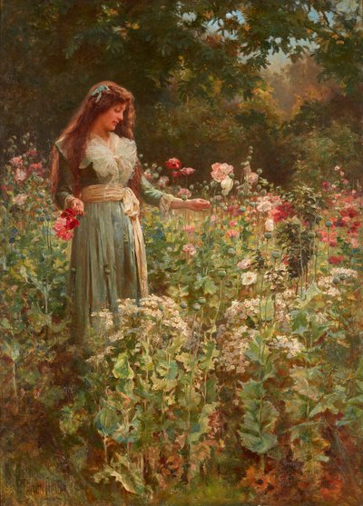 Récolte de coquelicots - Robert Payton Reid