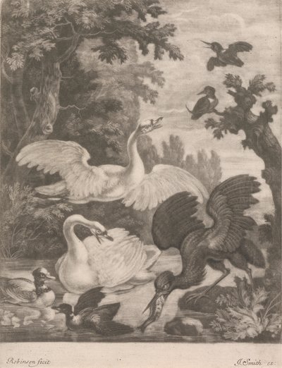 Oiseaux aquatiques - Robert Robinson
