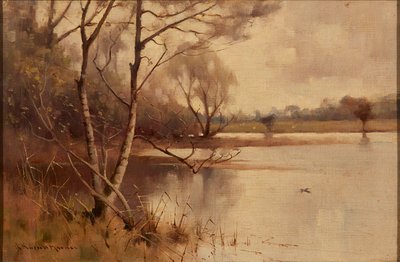 Bouleau argenté au bord du lac - Robert Russell MacNee