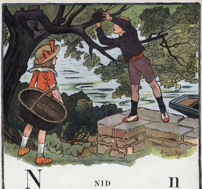 Livre pour enfants « Je saurai lire - Alphabet méthodique et amusant par un papa » 1926. Illustration de Robert Salles (1871-1929). Abécédaire : lettre N comme nid. Un garçon prend un nid construit sur un arbre - Robert Salles