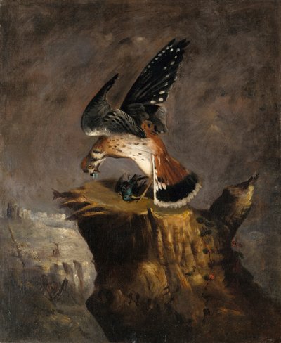 Vautour et sa proie, 1844 - Robert Seldon Duncanson