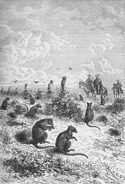 Bizcachas, c1885, 1890 - Robert Taylor Pritchett