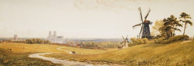 Beverley Minster - Robert Thorne Waite