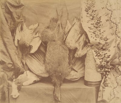 Nature morte et broderie, 1856 - Robert Wilfred Skeffington Lutwidge