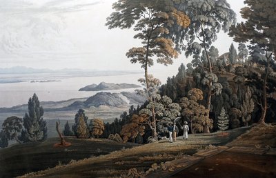 Vue de Halliburton