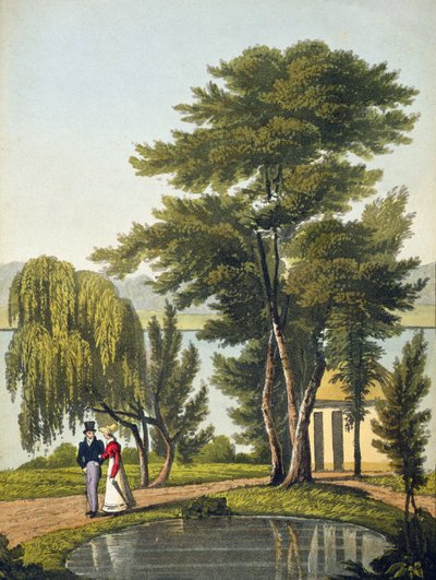 Clifton, de 