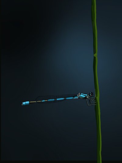 Demoiselle, 2022 - Roberta Murray