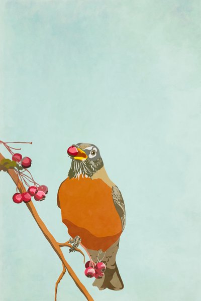 Baies Rouges, 2022 - Roberta Murray