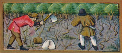 Mars - travail dans le vignoble, 15e siècle - Robinet Testard