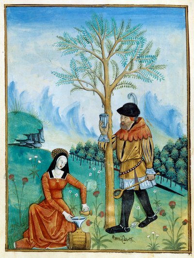 Récolte du baume. Un homme récolte la résine, ou sève, qui coule d