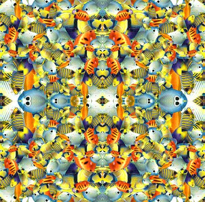 Carreau de poisson kaléidoscope - Robyn Parker