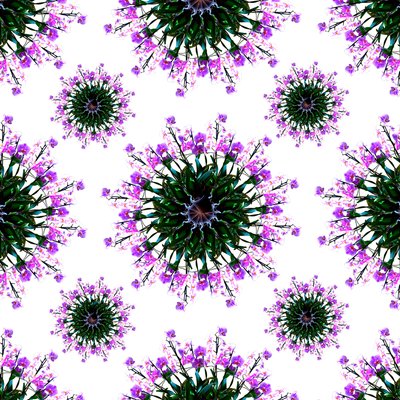 Monde des orchidées - Robyn Parker