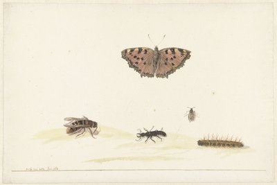 Feuille d