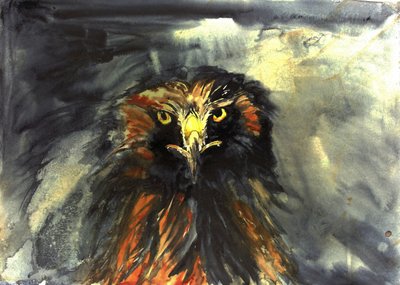 Le regard féroce de l