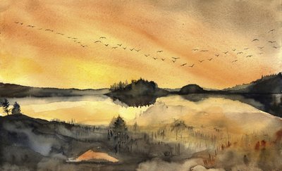  - RodMacIver
