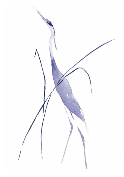 Le héron bleu gracieux - RodMacIver