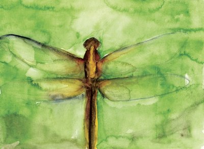 Aquarelle « Libellule verte » - RodMacIver