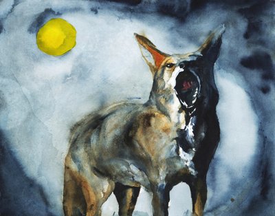 La Lune du Coyote hurlant - RodMacIver