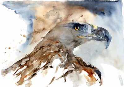 Aigle majestueux à l