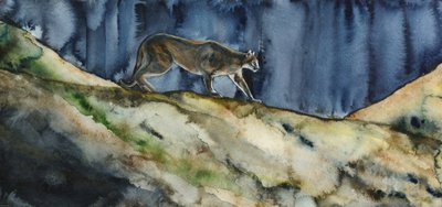 La chasse nocturne du puma - RodMacIver