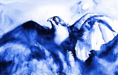 Le faucon bleu en plein vol - RodMacIver