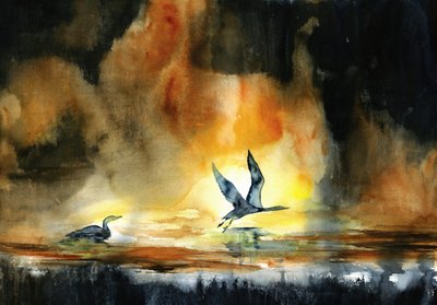 Oiseaux aquatiques au coucher du soleil - RodMacIver