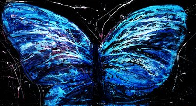 Papillon bleu éclatant - RodMacIver