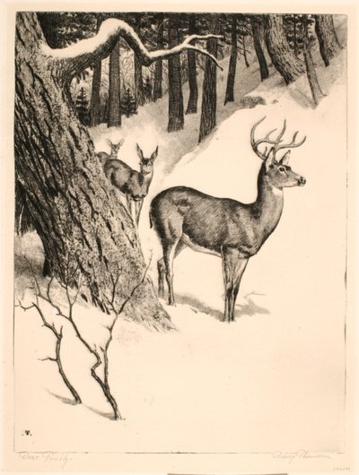 Deer Family - Rodney Thomson