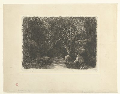 Paysage forestier avec ruisseau et arbres surplombants - Rodolphe Bresdin