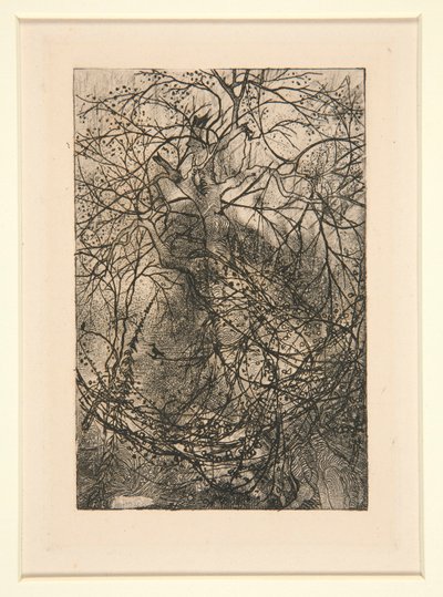 Branchages - Rodolphe Bresdin
