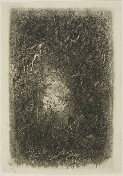Clairière dans la forêt - Rodolphe Bresdin