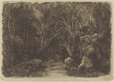 Le ruisseau dans les bois - Rodolphe Bresdin
