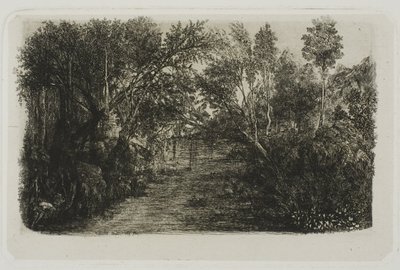 Le Ruisseau - Rodolphe Bresdin