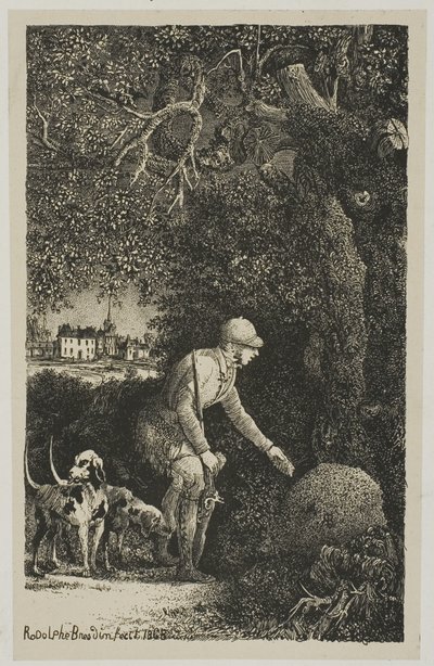 Le diplomate et la fourmilière, illustration pour Fables et Contes par Hippolyte de Thierry-Faletans - Rodolphe Bresdin