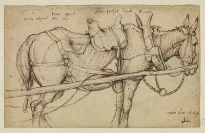 Mule harnachée - Roelandt Jacobsz. Savery