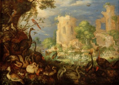 Oiseaux exotiques, paysage - Roelandt Savery