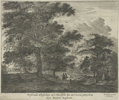 Sentier forestier dans la forêt de La Haye - Roelant Roghman