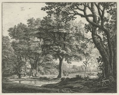 Cerfs dans la forêt de La Haye - Roelant Roghman