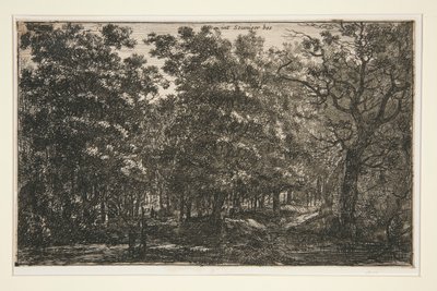 Int Seuniger Bos - Roelant Roghman