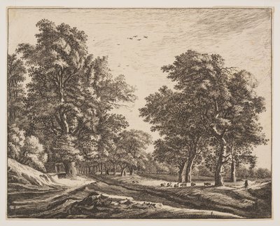 N° 4, extrait de Six vues dans le bois de La Haye - Roelant Roghman