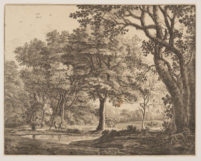 Planche. 6, tirée de Six vues dans le bois de La Haye - Roelant Roghman