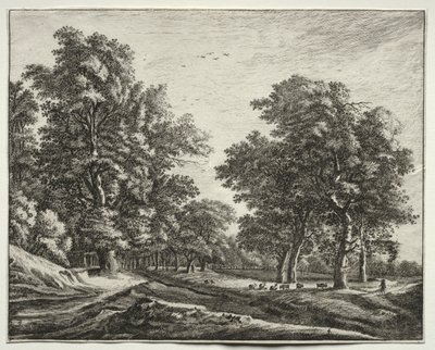 Six vues dans le bois de La Haye : Chèvres sous les arbres - Roelant Roghman