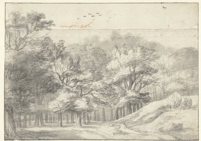 Vue dans la forêt de La Haye - Roelant Roghman