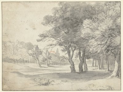Vue dans le Haagse Bos, avec la Grote Kerk, La Haye, au loin - Roelant Roghman