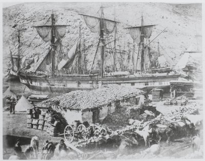Le quai à bestiaux dans le port de Balaklava - Roger Fenton