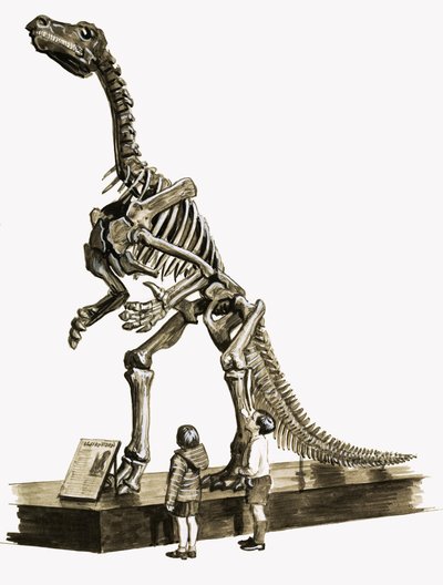 Au temps des dinosaures : Un mystère vieux de cent millions d