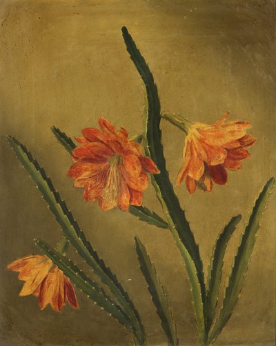 Étude de fleurs - Rolinda Sharples