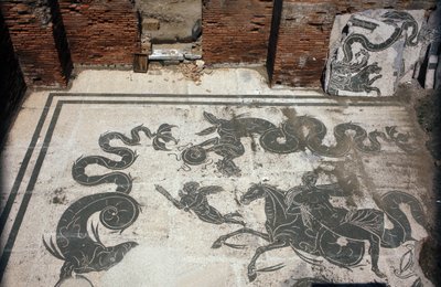 Ostie antique (Ostia). Place des Corporations. Mosaïque de la Corporation des marins de Sabratha. Thermes de Neptune - Roman